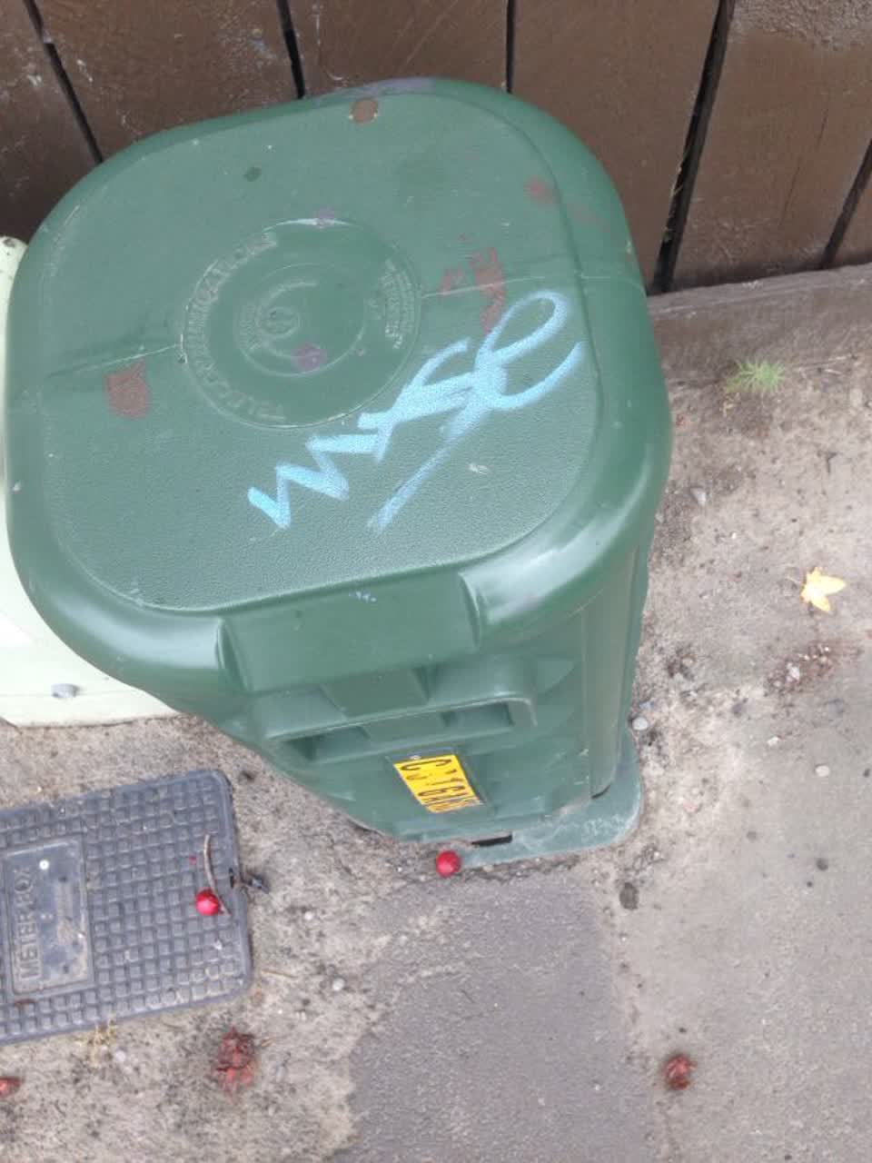 The photograph attached to this graffiti report