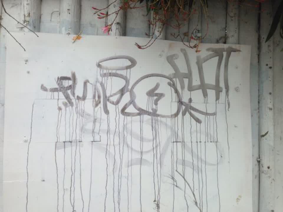 The photograph attached to this graffiti report