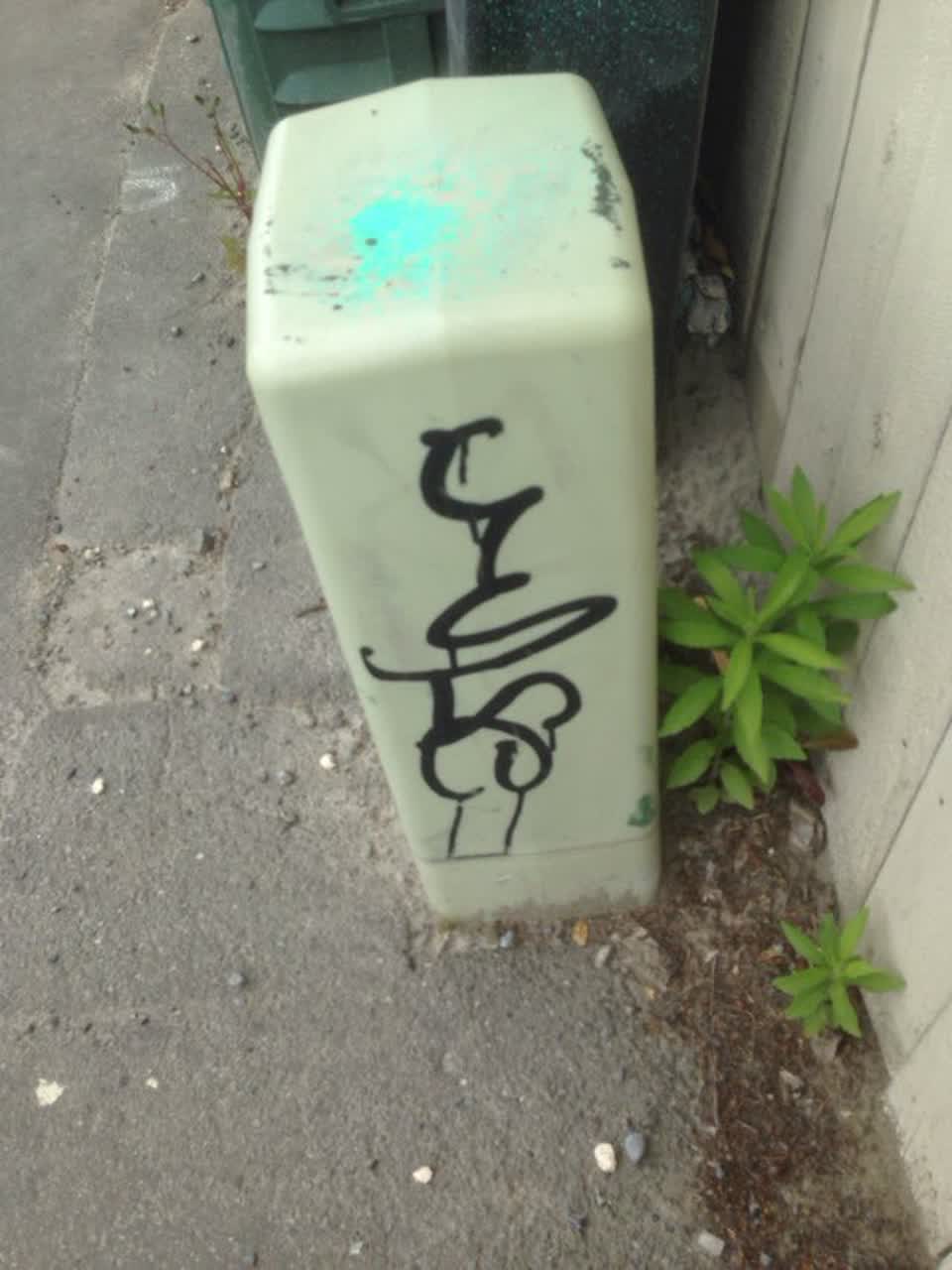 The photograph attached to this graffiti report