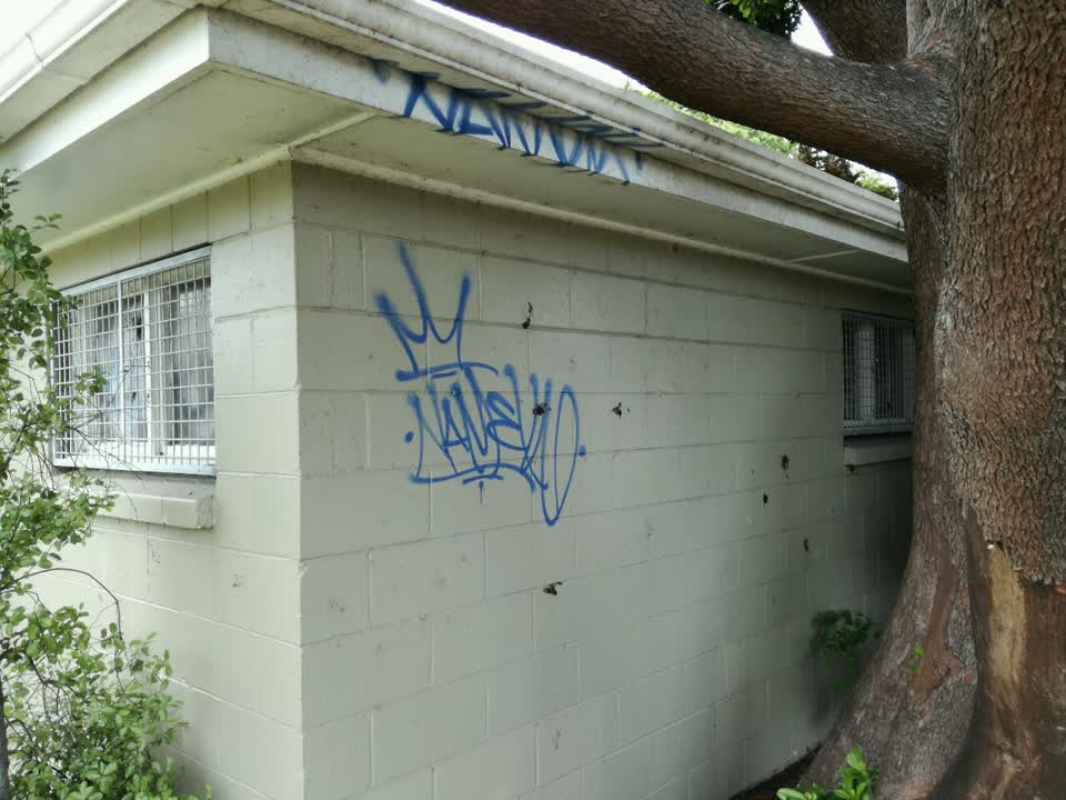 The photograph attached to this graffiti report