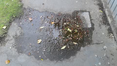 Water Supply, a report photo