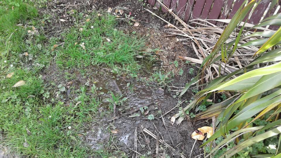 The photograph attached to this water supply report