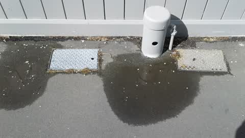 Water Supply, a report photo