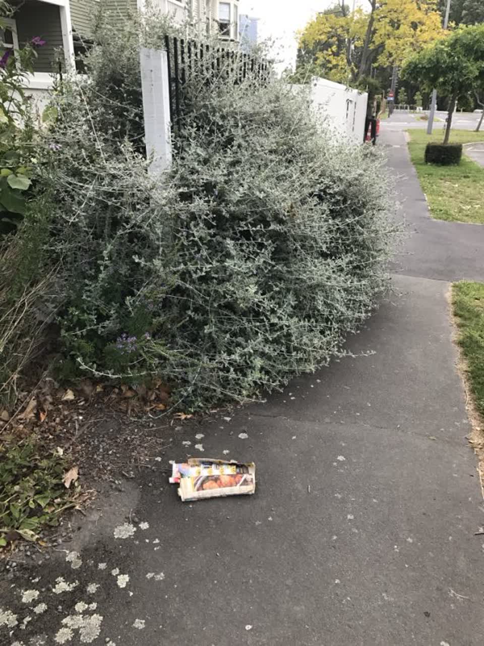 The photograph attached to this roading/streets report