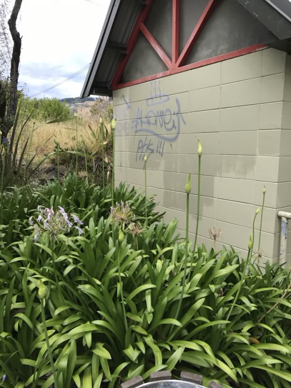 The photograph attached to this graffiti report