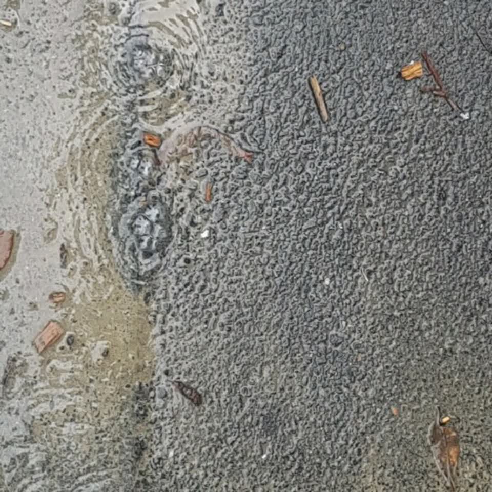 The photograph attached to this water supply report