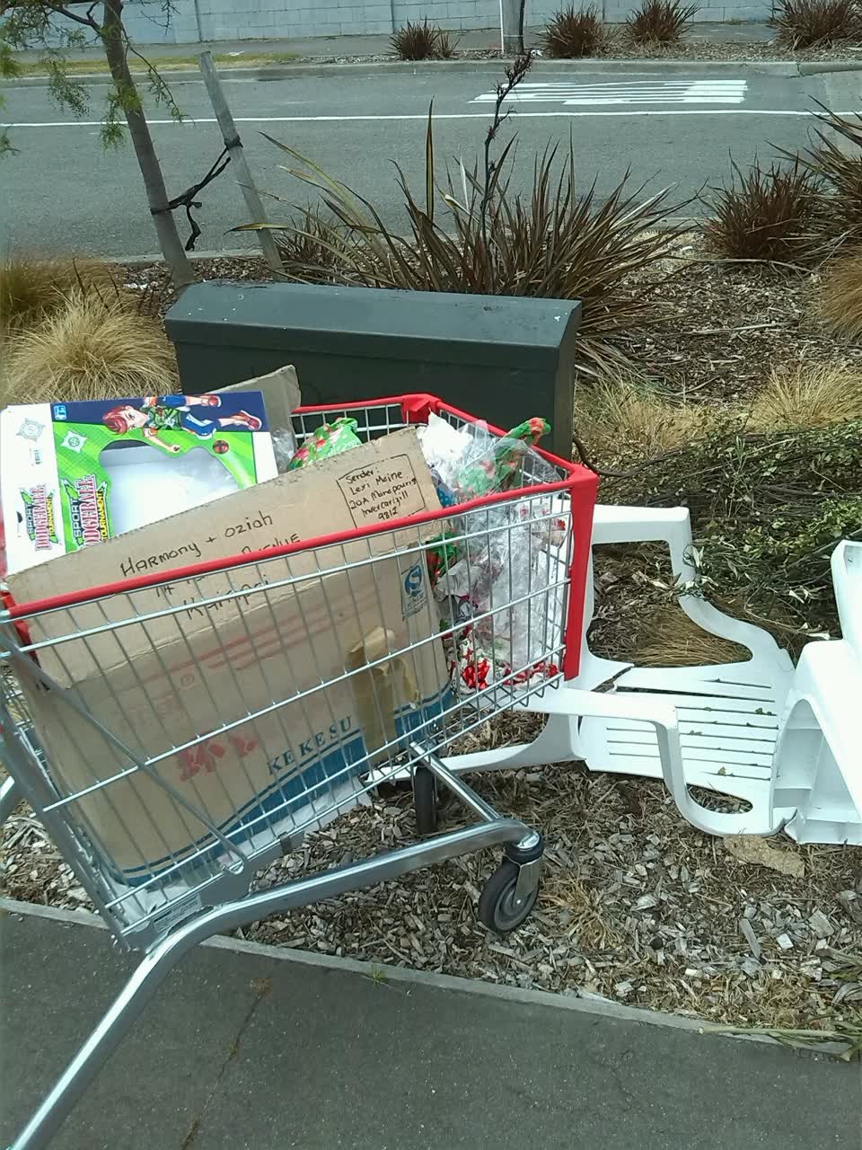 The photograph attached to this rubbish/recycling report