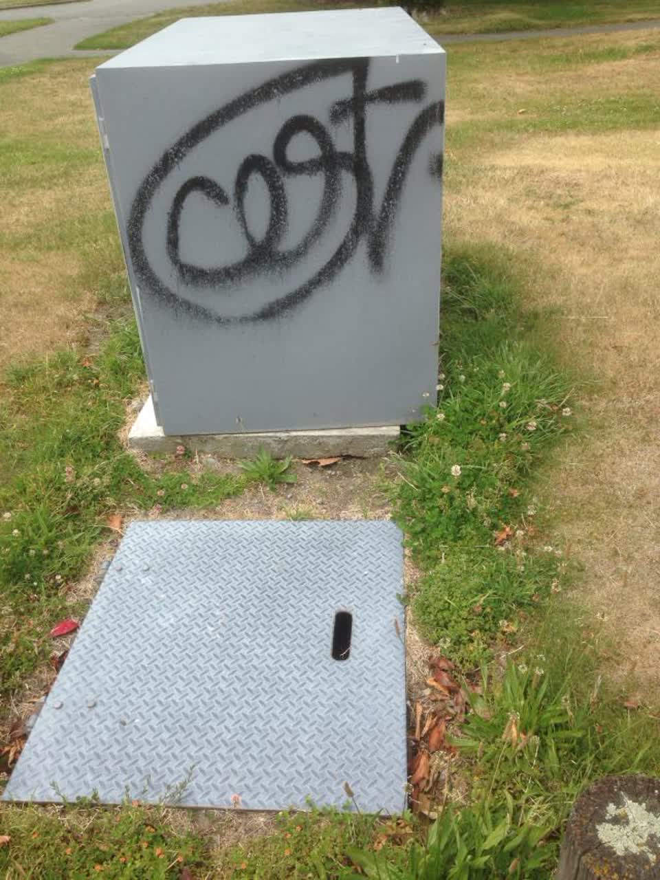 The photograph attached to this graffiti report