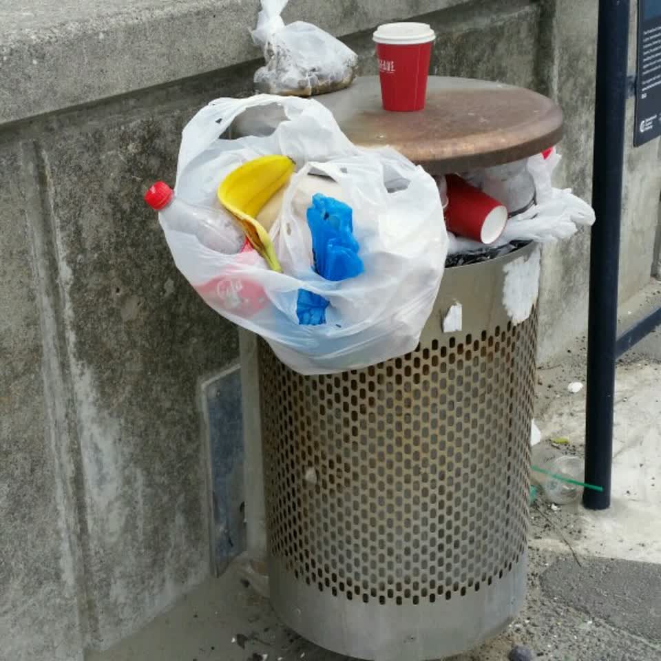 The photograph attached to this rubbish/recycling report