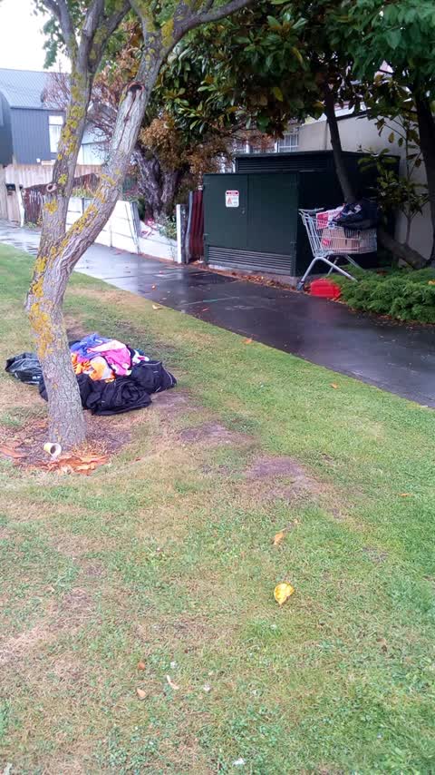 Rubbish/Recycling, a report photo
