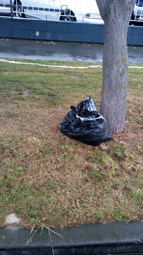 Rubbish/Recycling, a report photo