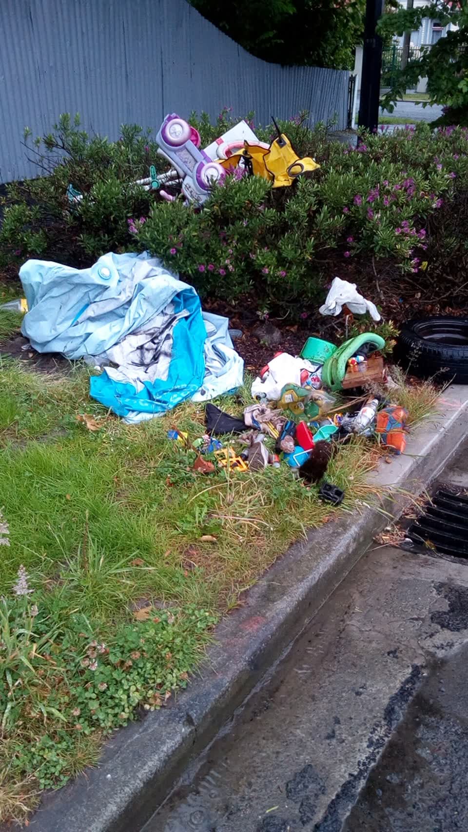 The photograph attached to this rubbish/recycling report