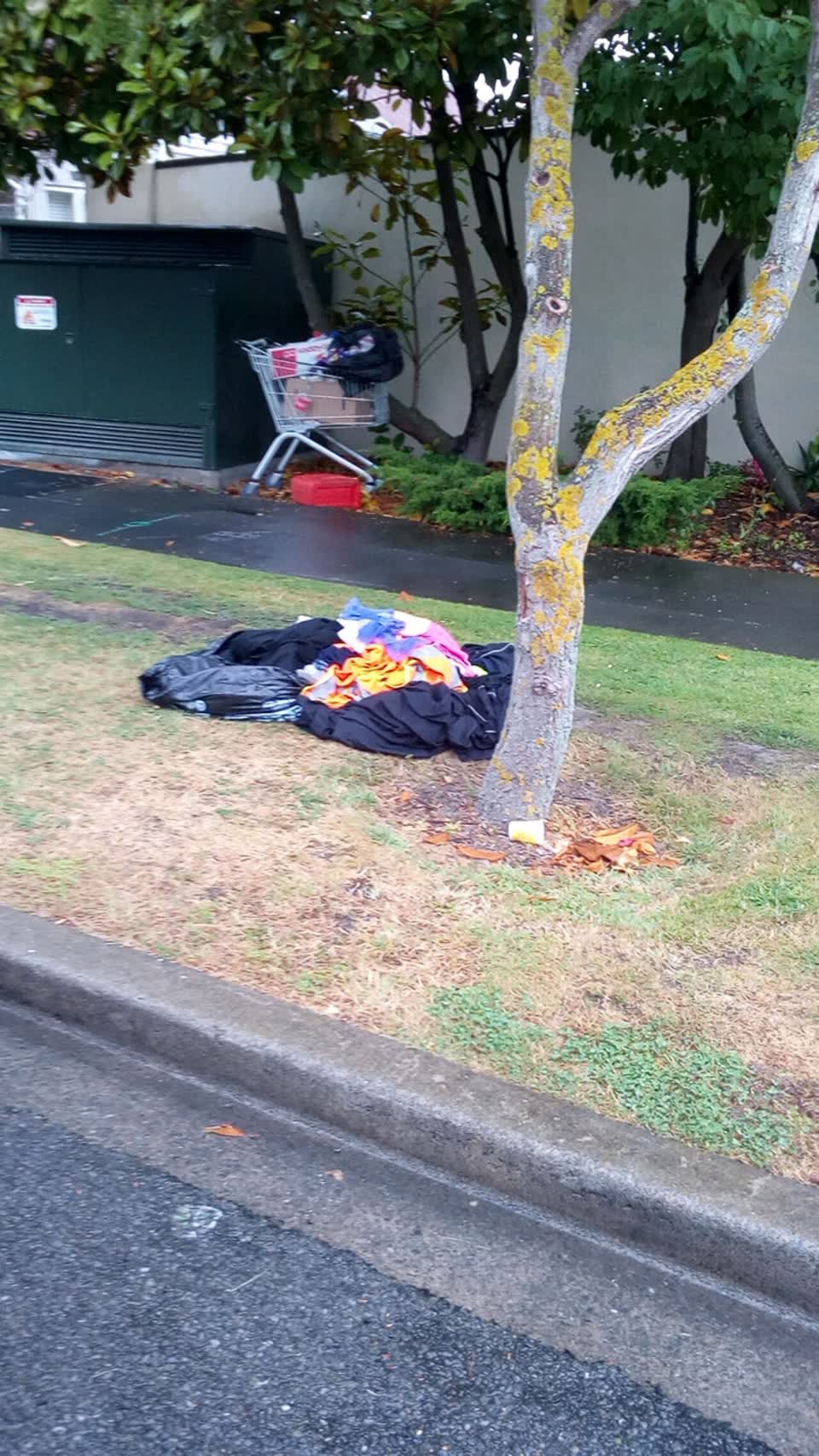 The photograph attached to this rubbish/recycling report