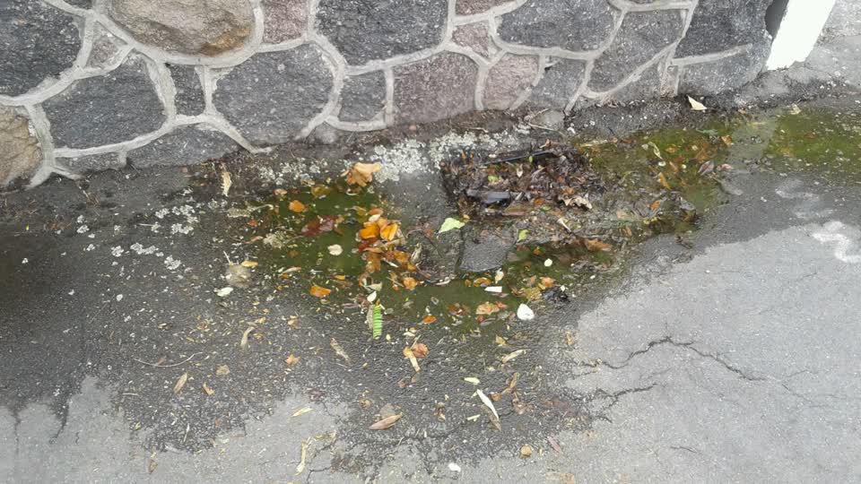 The photograph attached to this water supply report