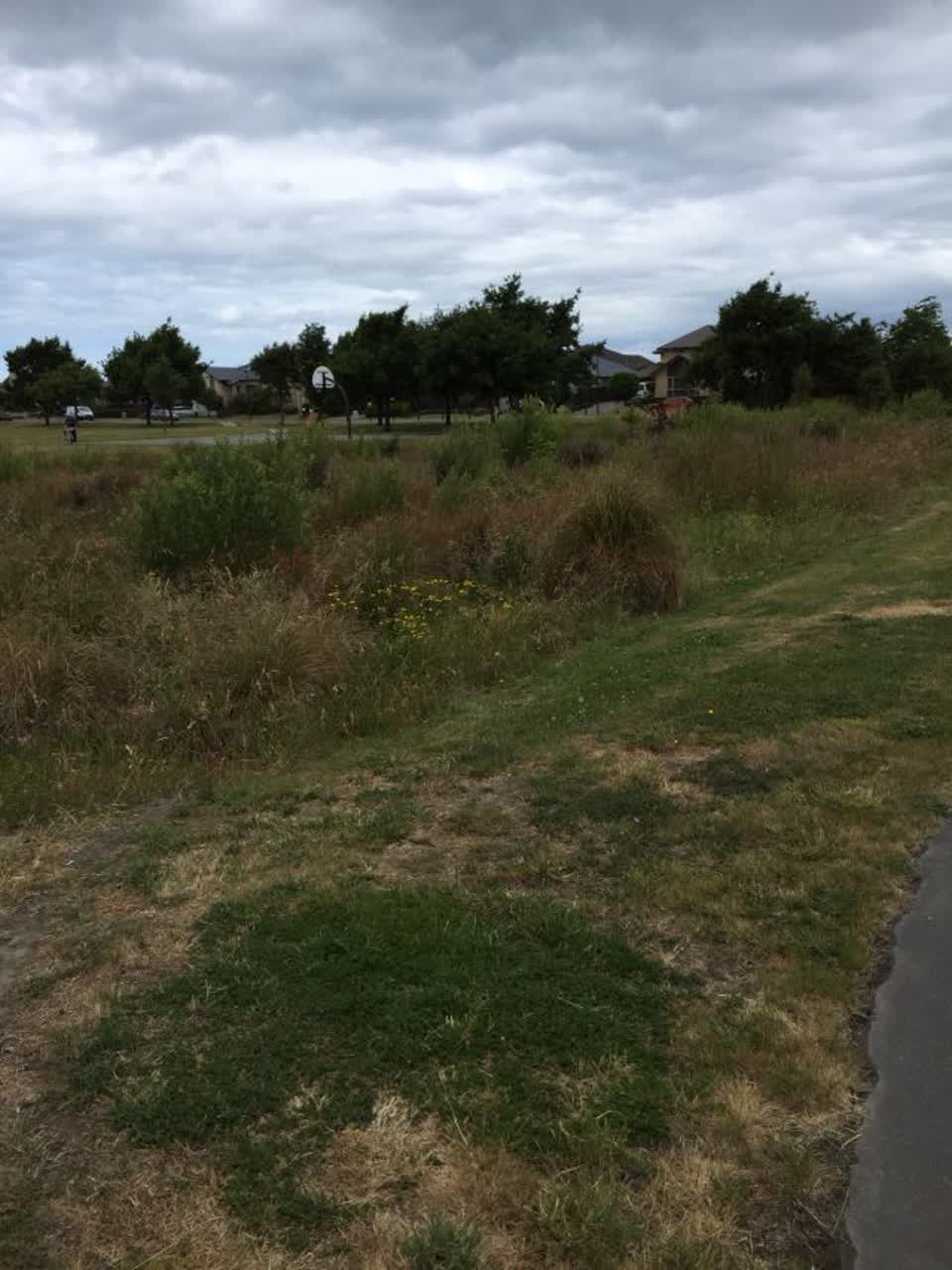 The photograph attached to this parks report