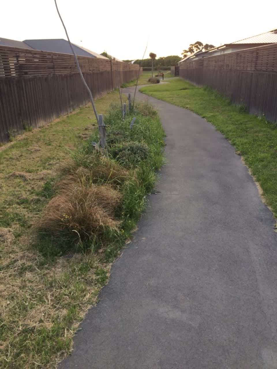 The photograph attached to this parks report