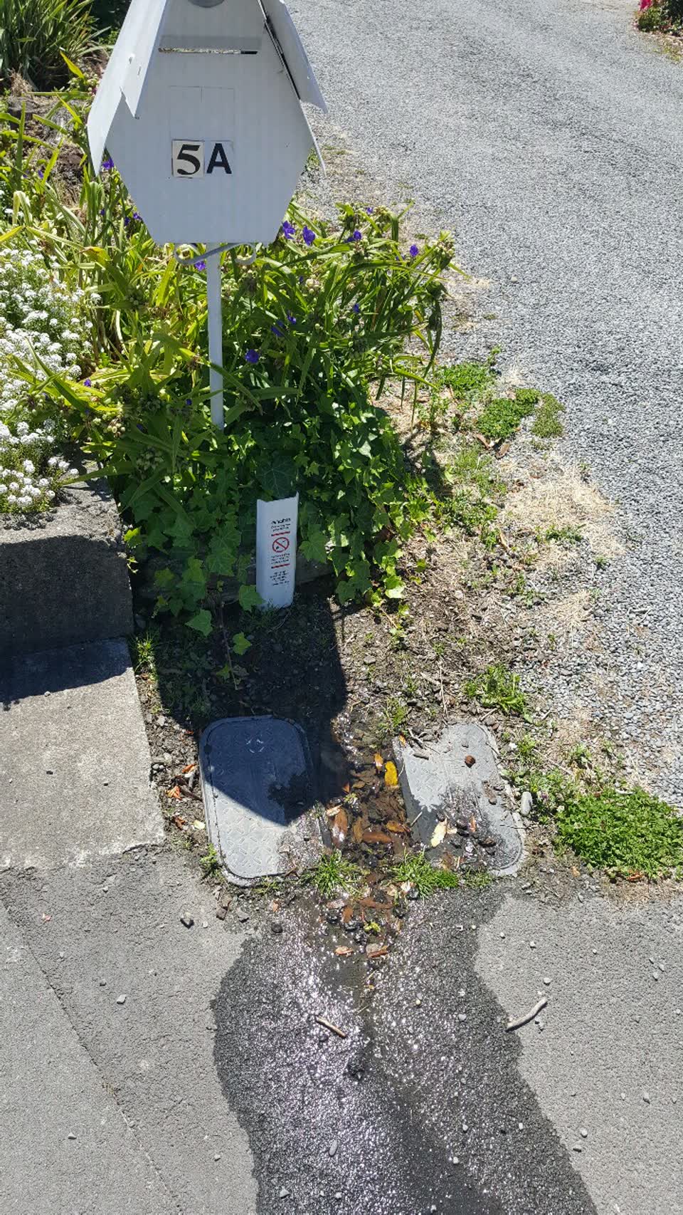 The photograph attached to this water supply report