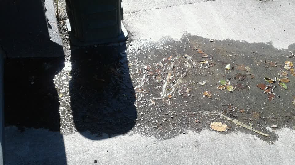 The photograph attached to this water supply report