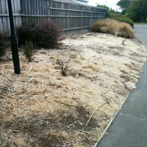 Parks, a report photo