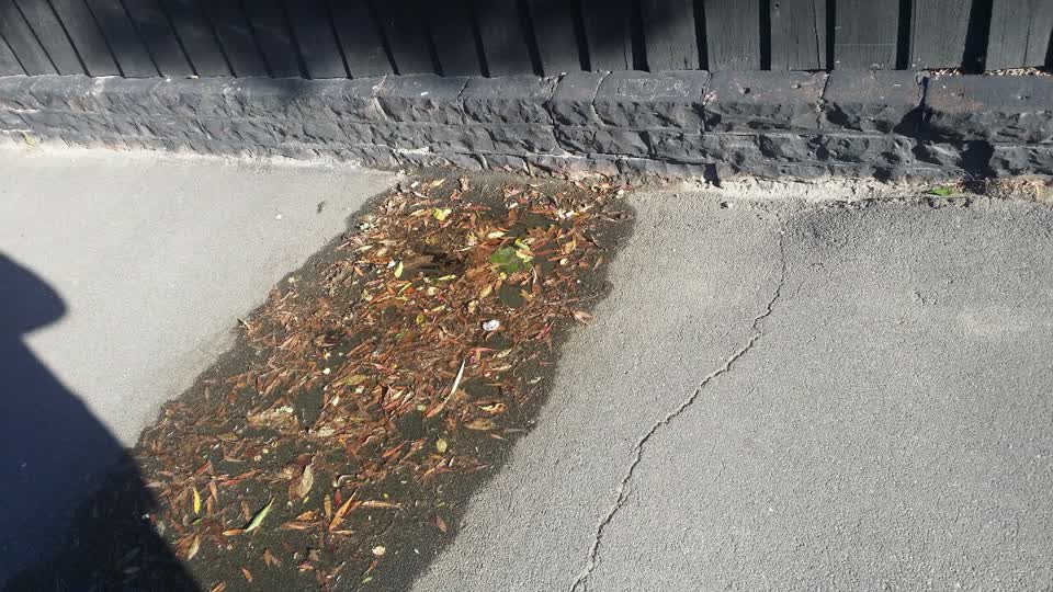 The photograph attached to this water supply report