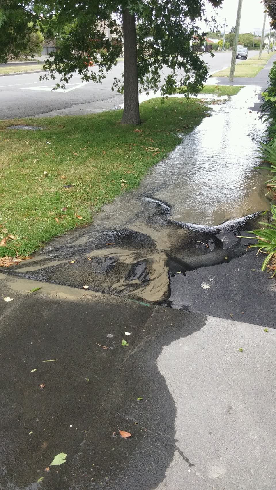 The photograph attached to this water supply report