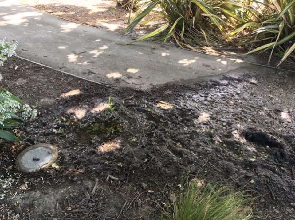 The photograph attached to this wastewater/stormwater report