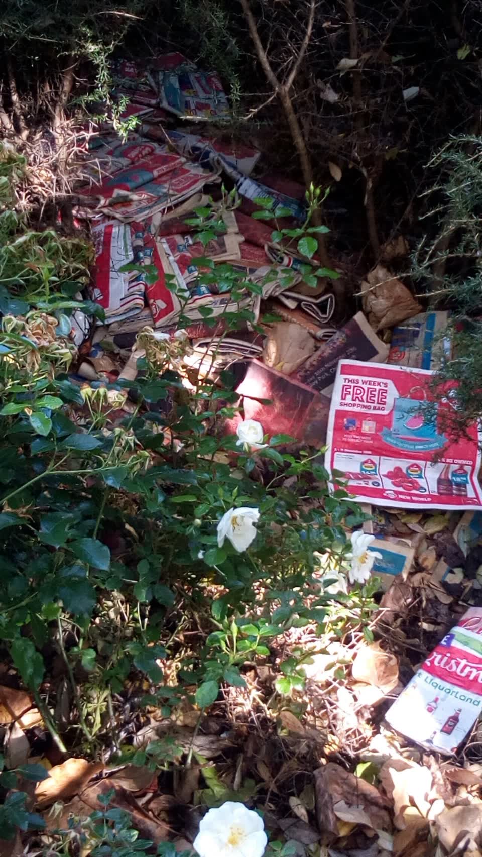 The photograph attached to this rubbish/recycling report