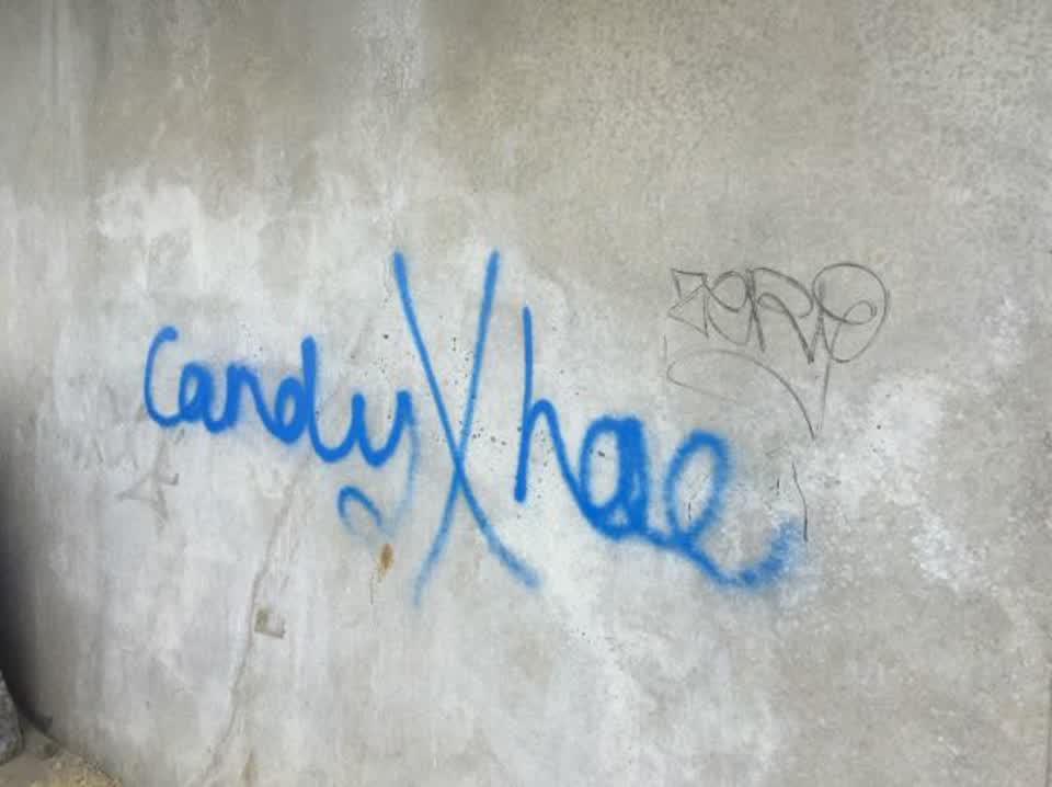 The photograph attached to this graffiti report