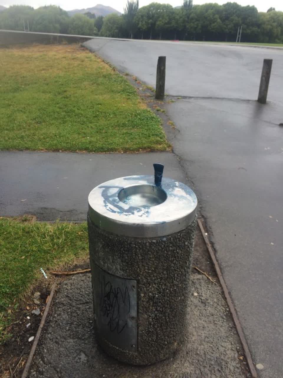 The photograph attached to this parks report