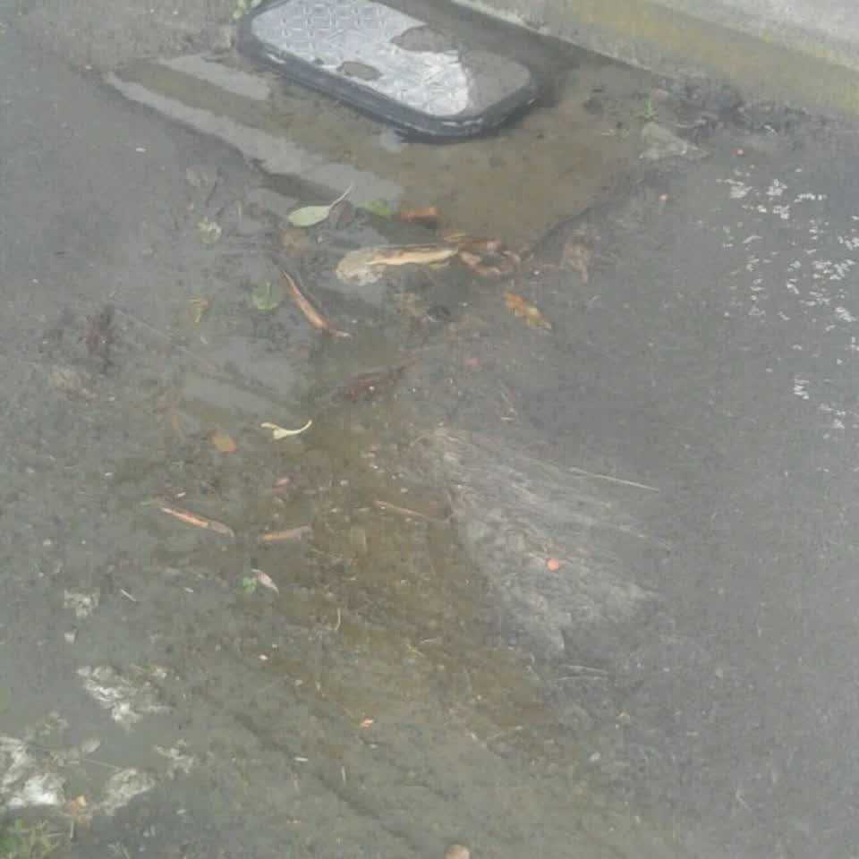 The photograph attached to this water supply report