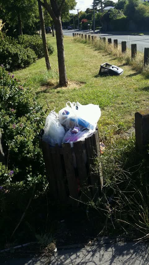 Rubbish/Recycling, a report photo