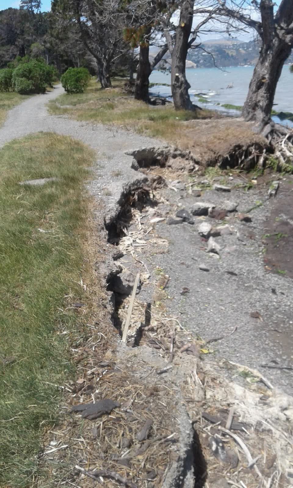 The photograph attached to this parks report