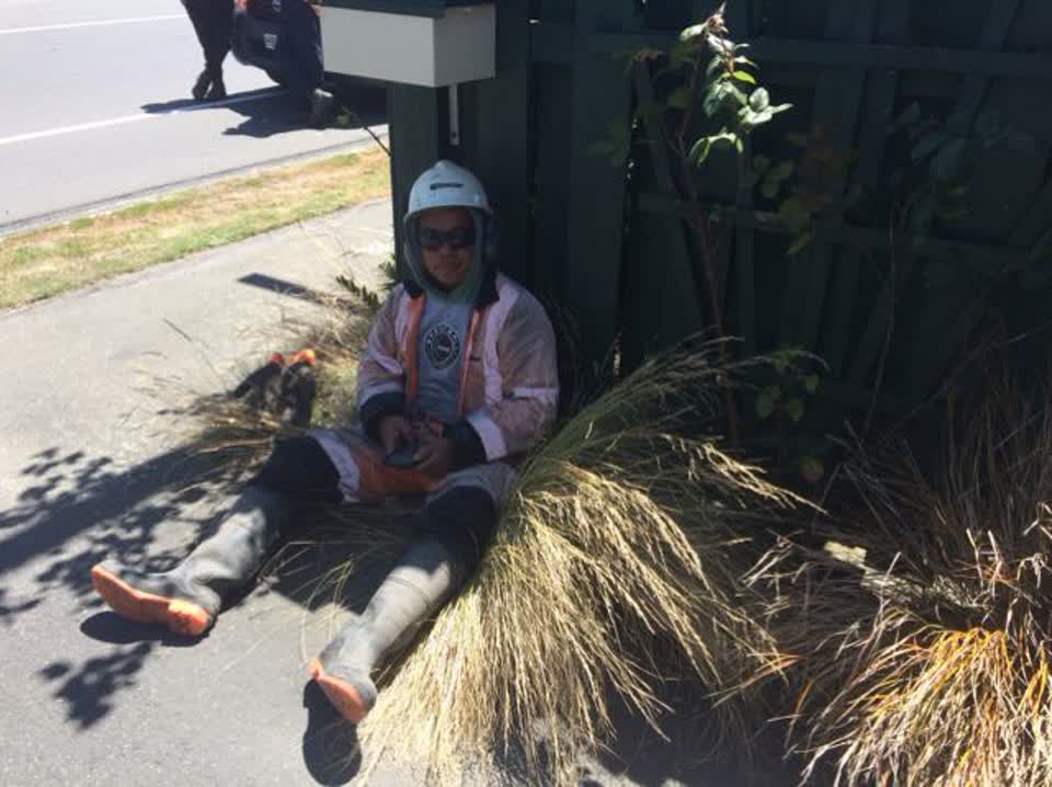 The photograph attached to this roading/streets report