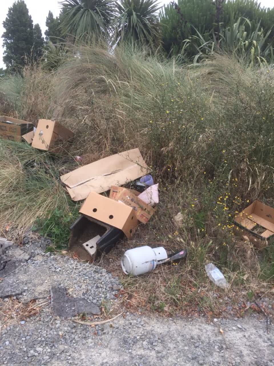 The photograph attached to this rubbish/recycling report
