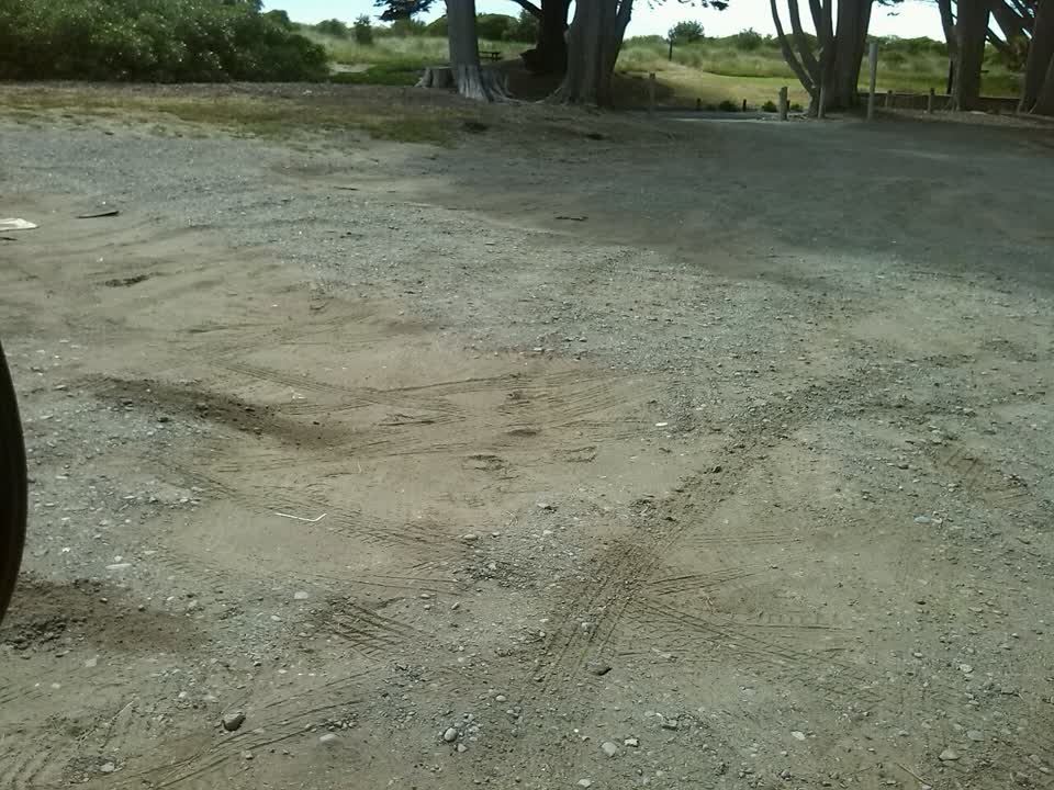 The photograph attached to this parks report