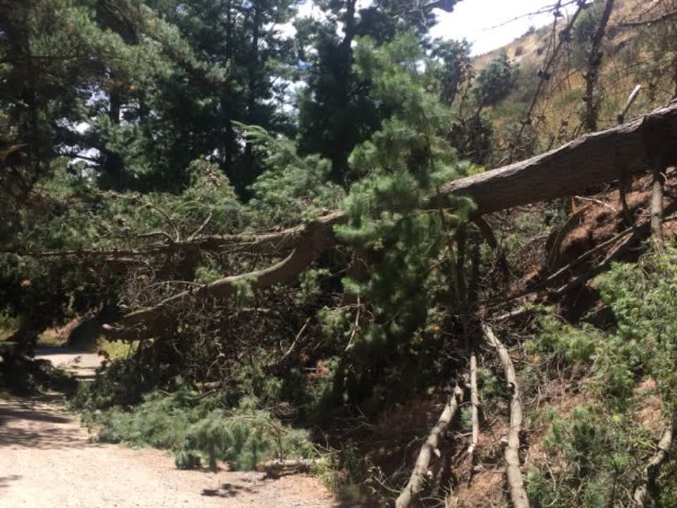 The photograph attached to this parks report