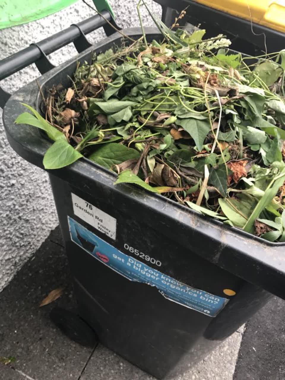 The photograph attached to this rubbish/recycling report