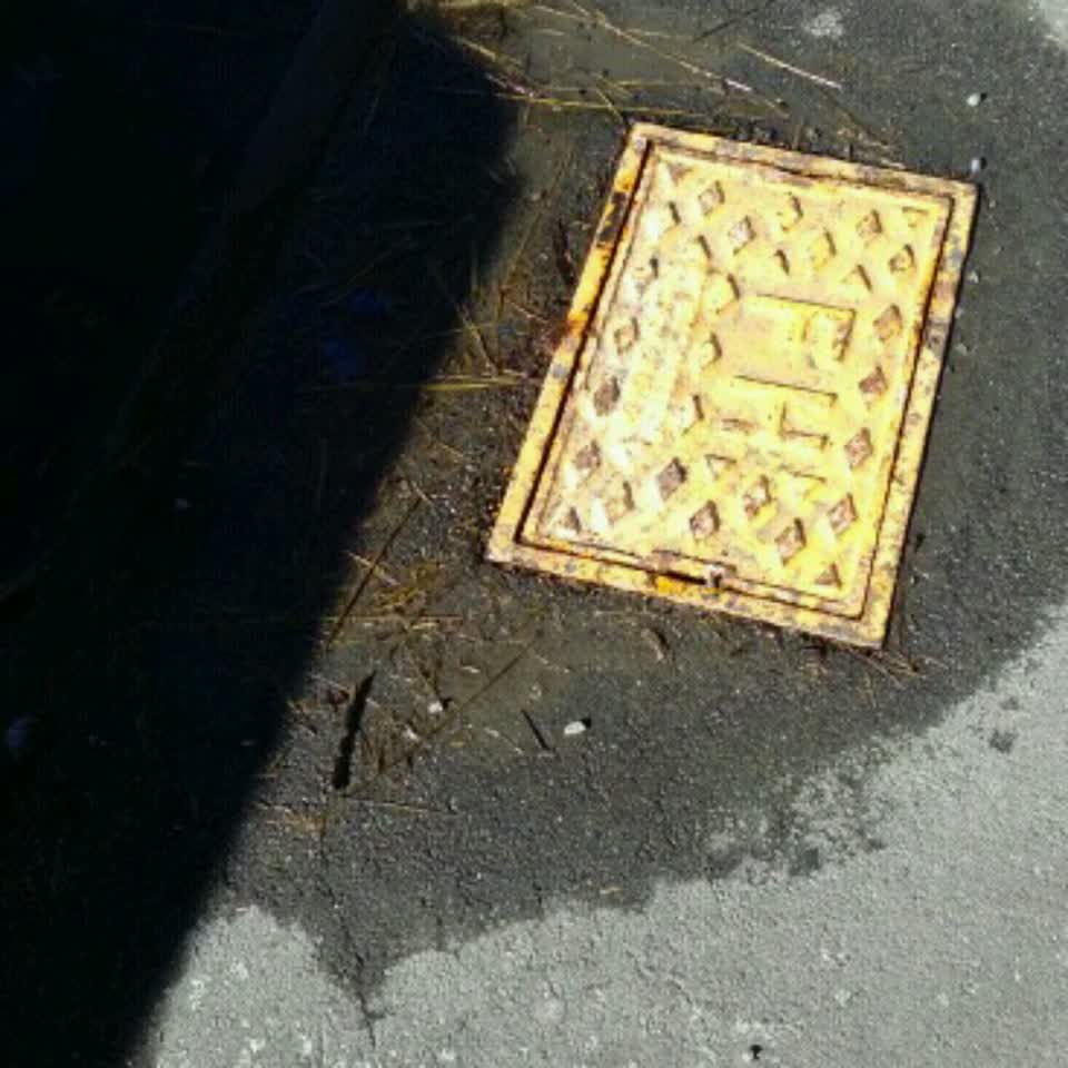 The photograph attached to this water supply report