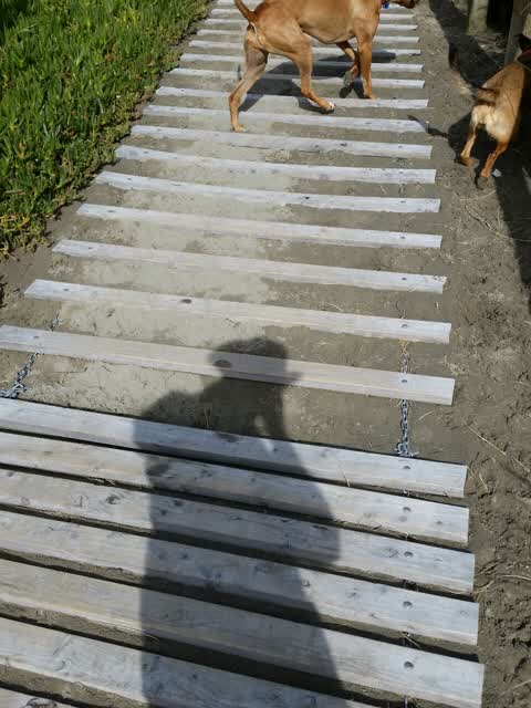 Parks, a report photo