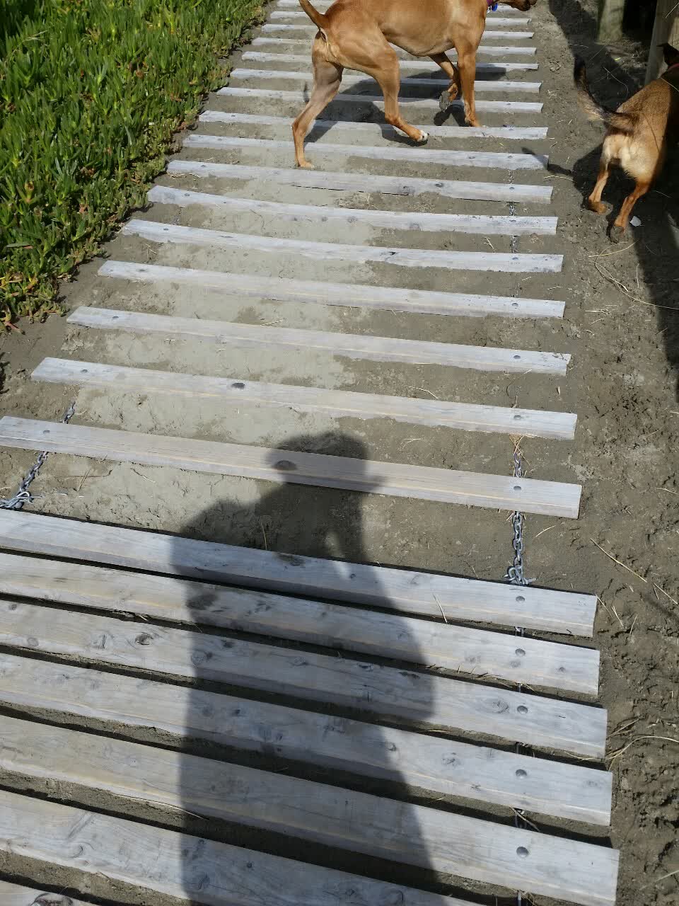 The photograph attached to this parks report