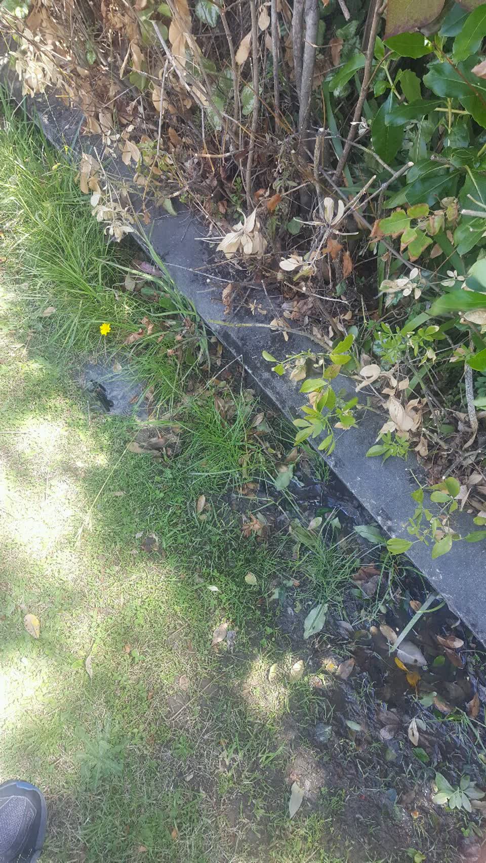 The photograph attached to this water supply report