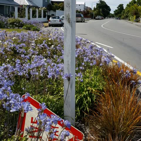 Roading/Streets, a report photo
