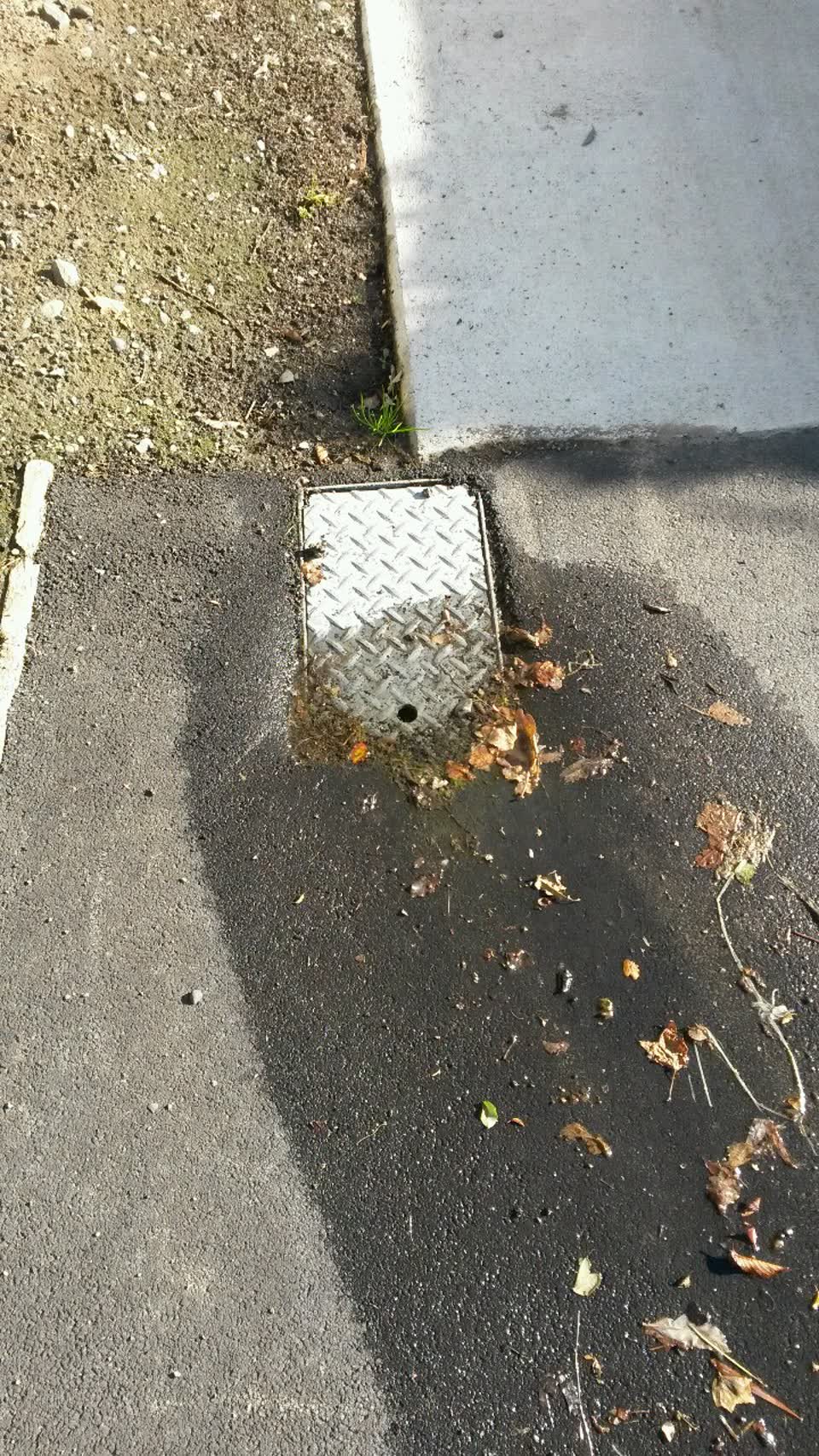 The photograph attached to this water supply report