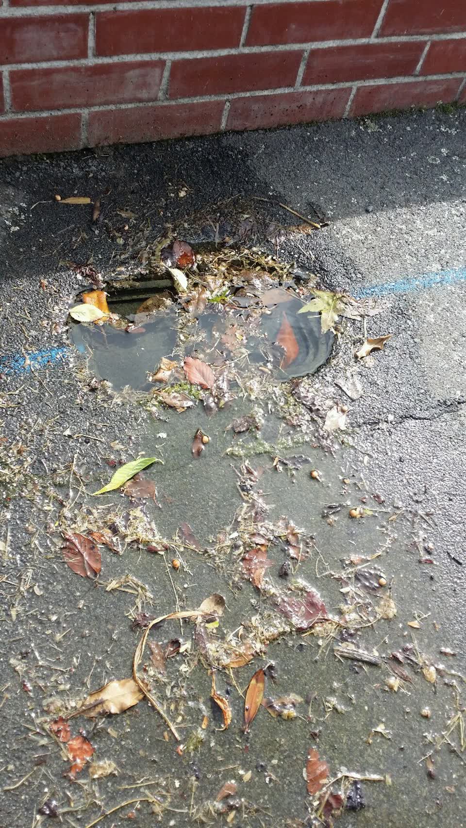The photograph attached to this water supply report