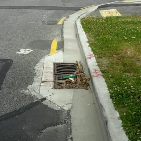 Wastewater/Stormwater, a report photo