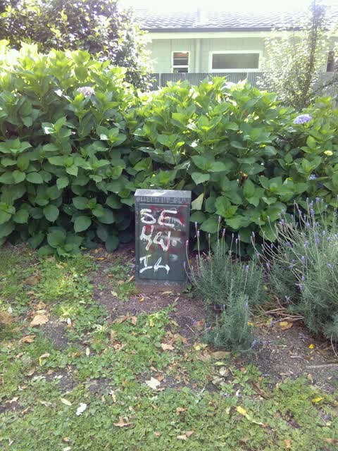 Graffiti, a report photo