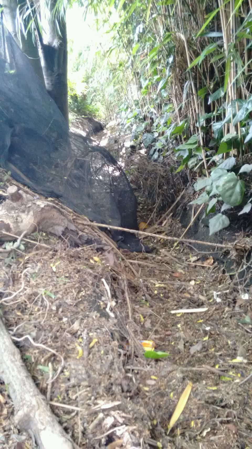 The photograph attached to this wastewater/stormwater report