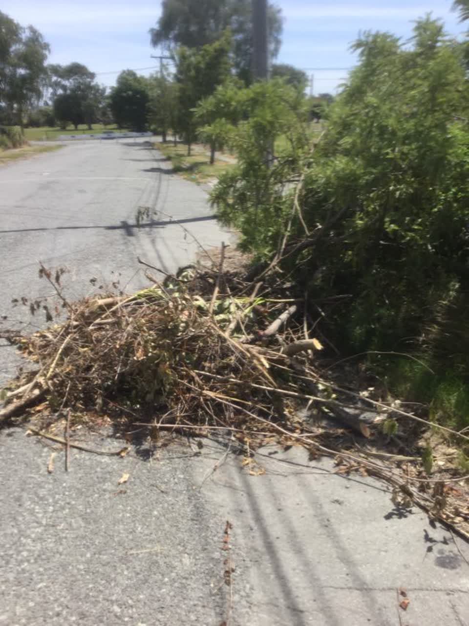 The photograph attached to this rubbish/recycling report