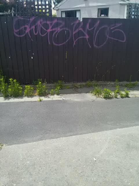 Graffiti, a report photo