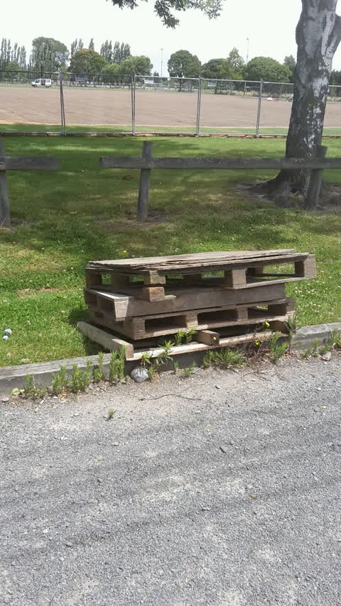 Parks, a report photo